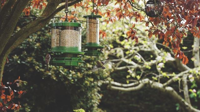 Finches Friend Cleaner Feeders